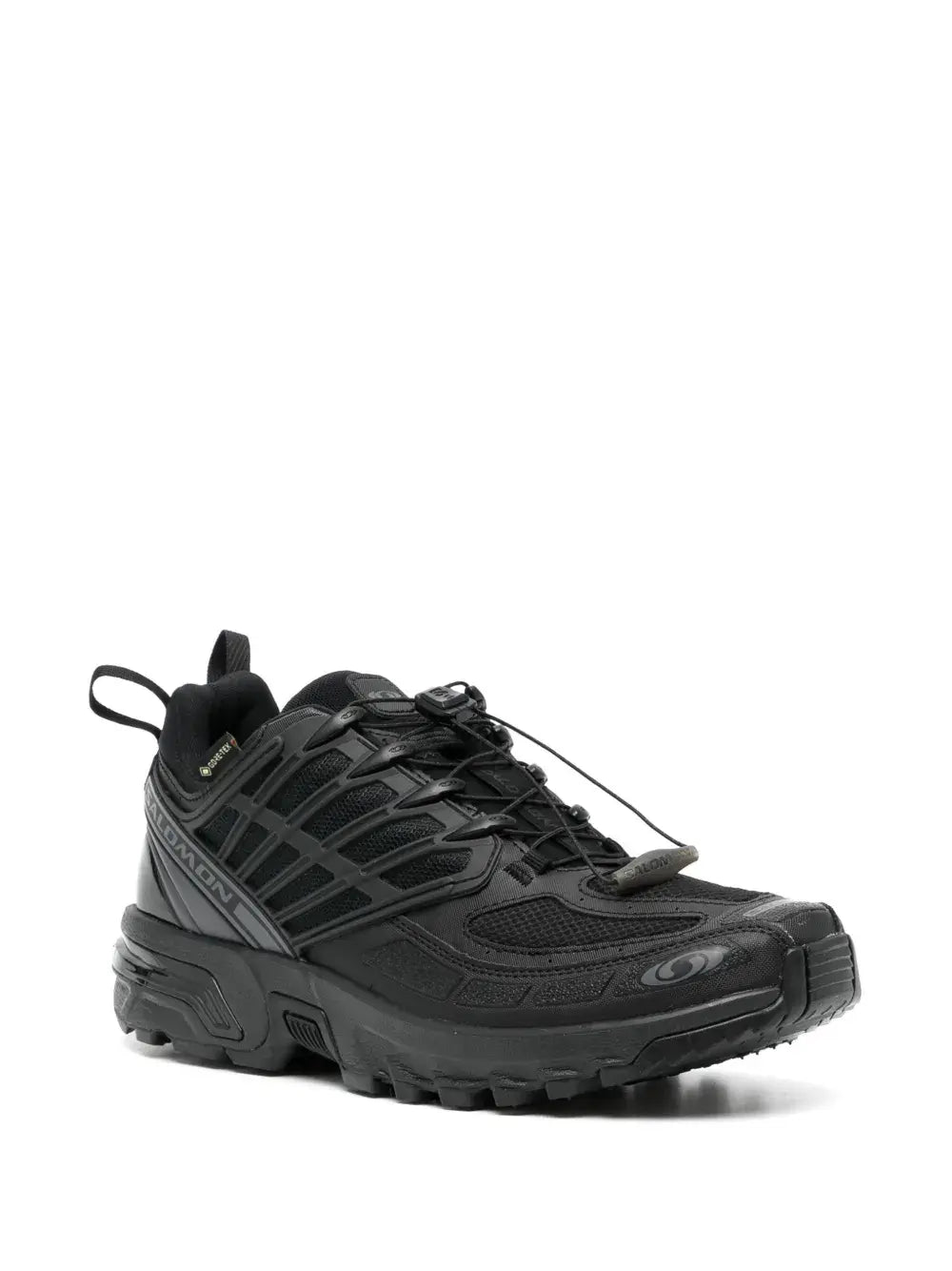 Salomon ACS Pro GTX low-top sneakers