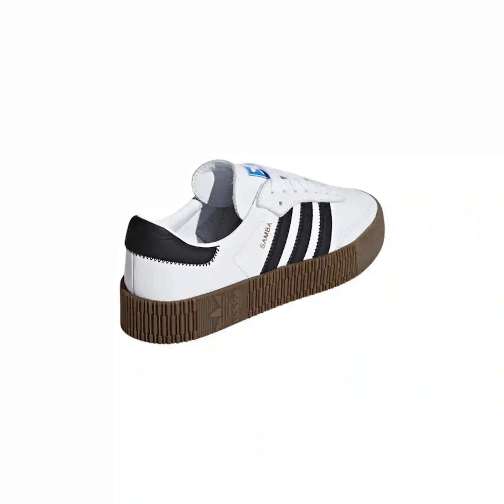 Sambarose “Cloud White”