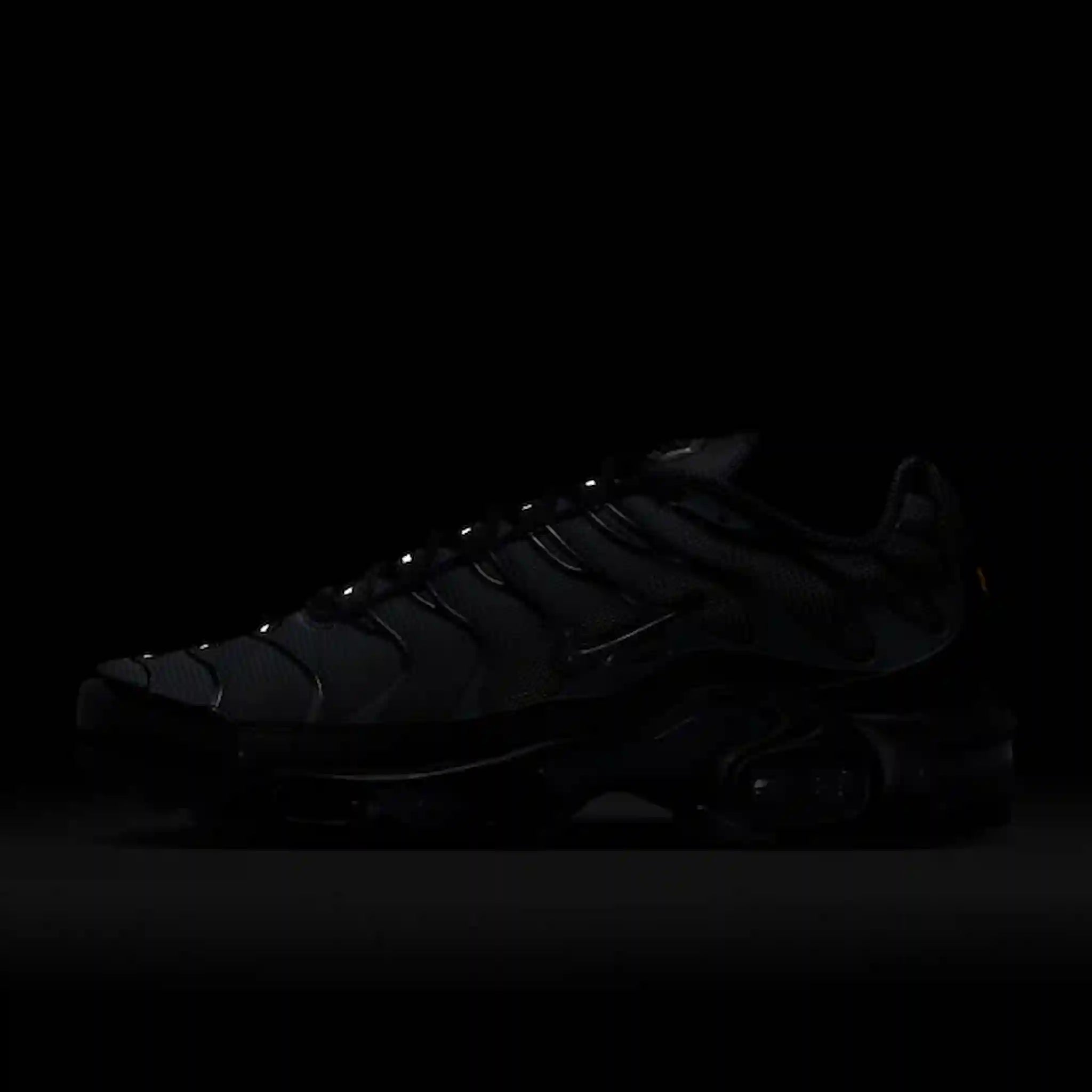 Nike Air Max Plus