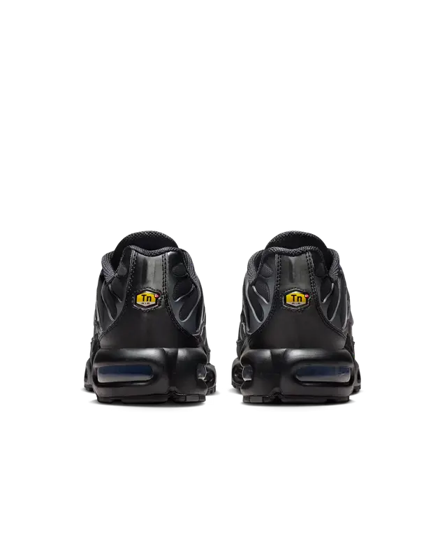 Nike Air Max Plus