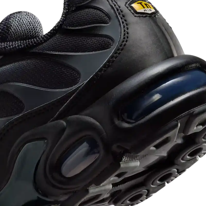 Nike Air Max Plus